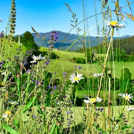 Appartamento Ferienwohnung Am Sattelhof