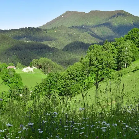 Ferienwohnung Am Sattelhof 아파트 Türnitz