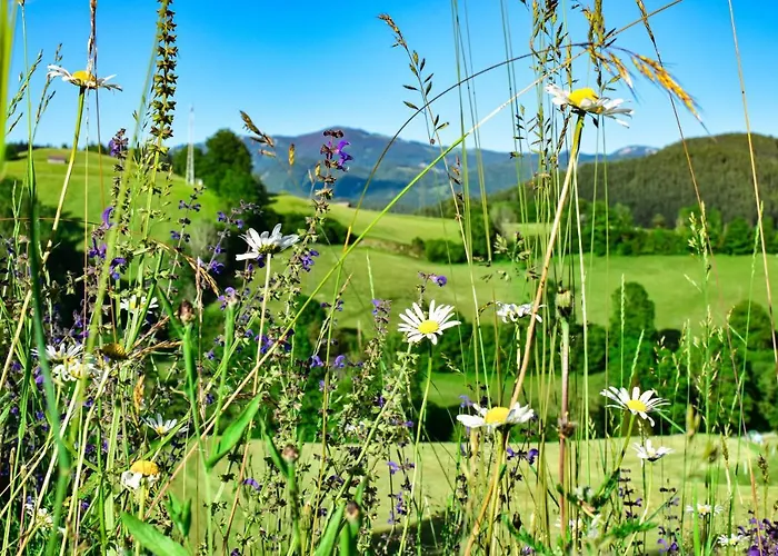 Apartamento Ferienwohnung Am Sattelhof