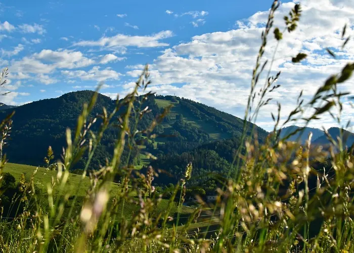 Apartamento Ferienwohnung Am Sattelhof