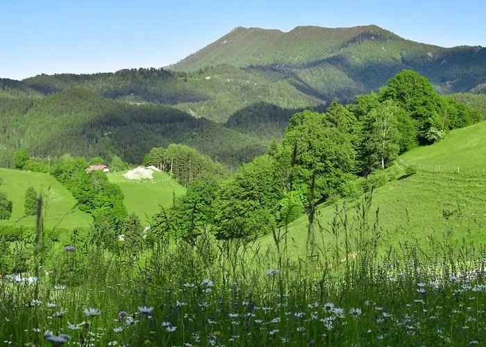 Ferienwohnung Am Sattelhof Apartamento Türnitz