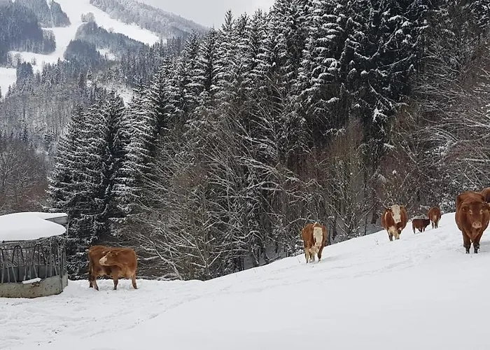 Ferienwohnung Am Sattelhof